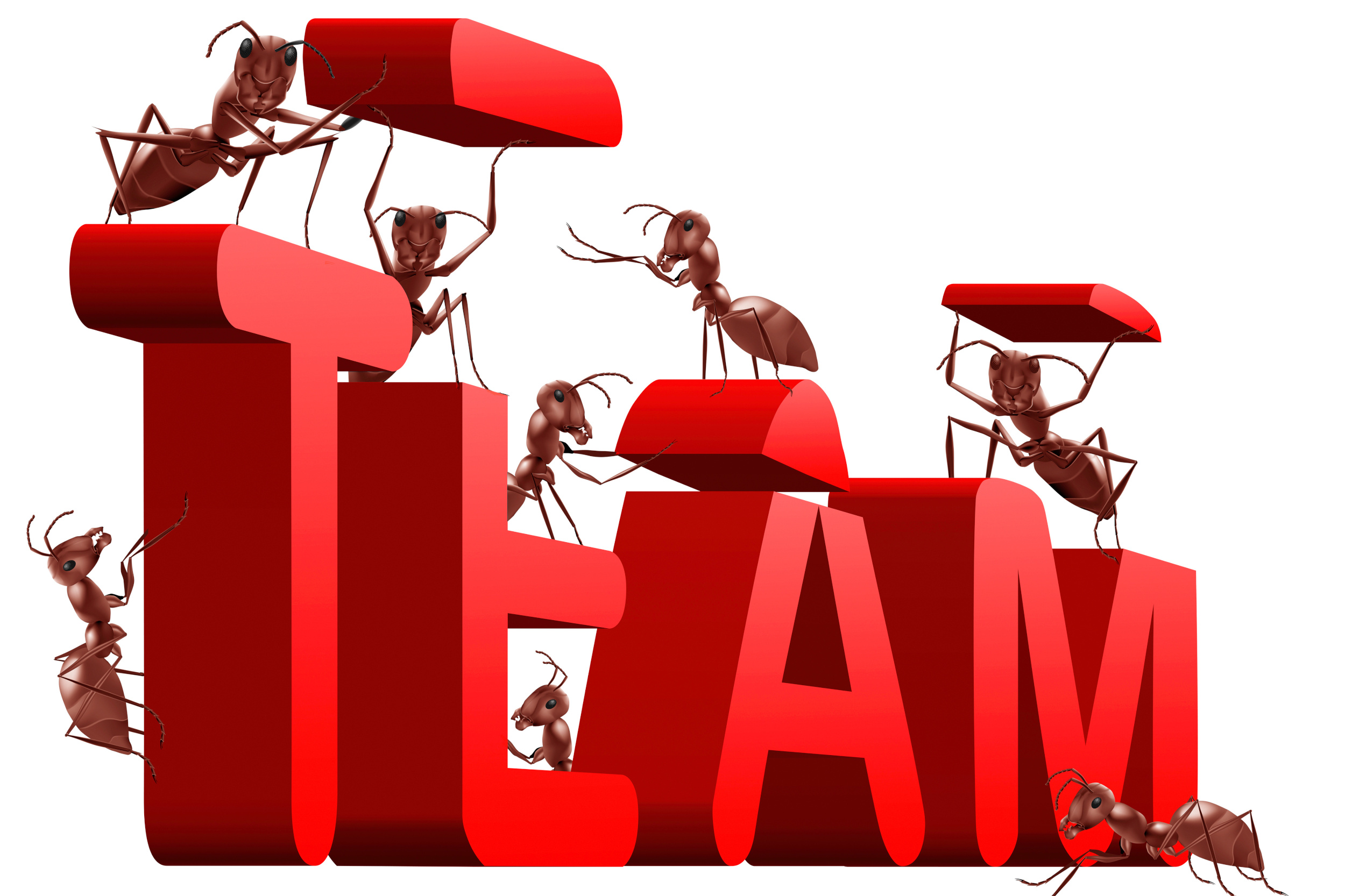 Teamchallenge